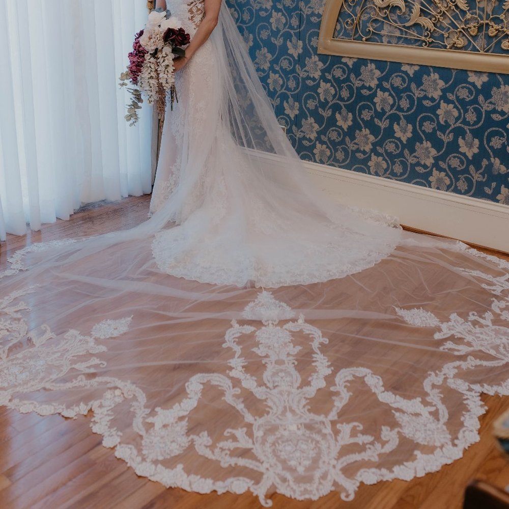 Cathedral length veil